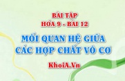 Giải bài 1, 2, 3, 4 trang 41 SGK Hóa 9 Bài tập về mối quan hệ giữa các hợp chất vô cơ